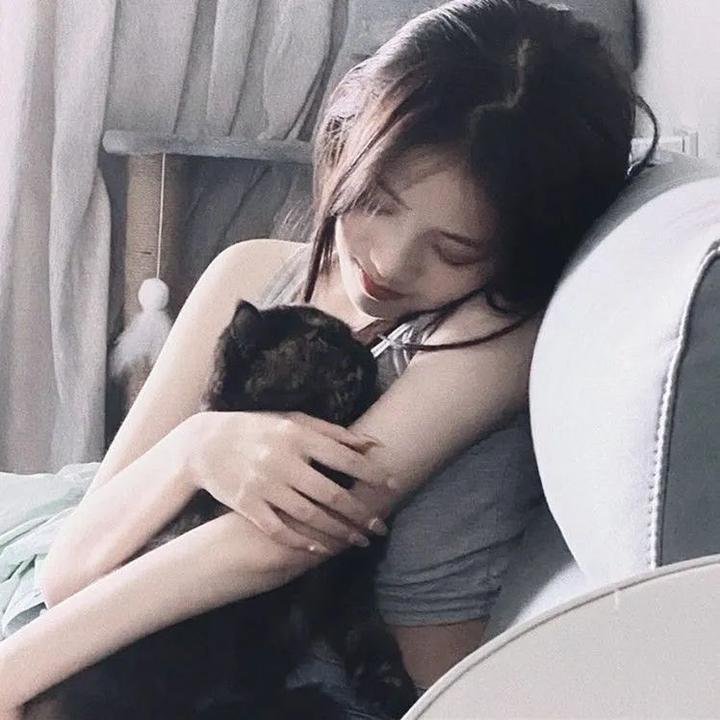 佐贺偶像是传奇 在线播放
